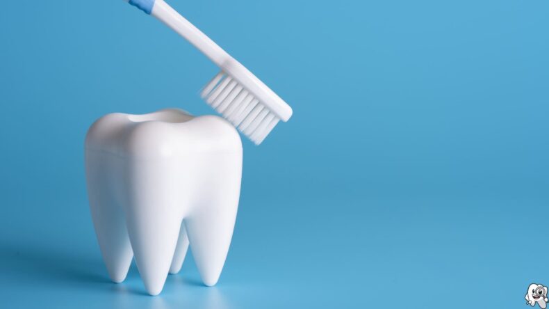 Common Dental Problems and How to Prevent Them: A Guide from Chelsea Family Dental