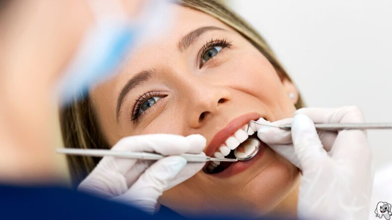 Understanding Dental Procedures: What to Expect at Chelsea Family Dental
