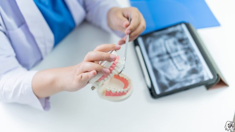Emergency Dental Care: What to Do When You Face a Dental Emergency at Chelsea Family Dental